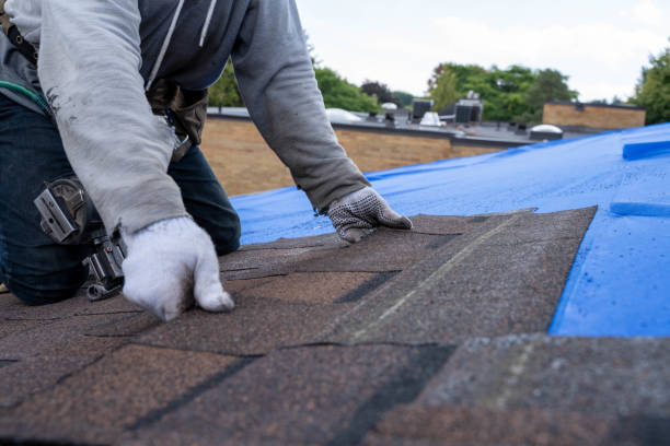 Best Shingle Roofing Installation  in Royal Hawaiian Estates, HI